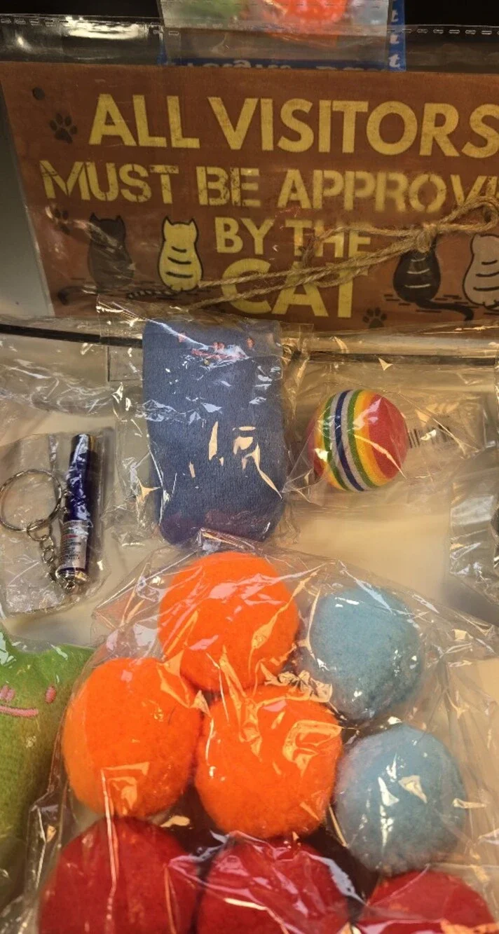 'All Visitors Must Be Approved By the Cat' Sign and Cat Toy Bundle